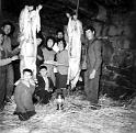 Meados Década 1960 - Matança Porco